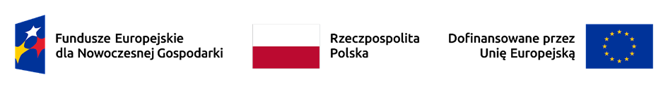 Fundusze Europejskie dla Nowoczesnej Gospodarki · Rzeczpospolita Polska · Dofinansowane przez Unię Europejską